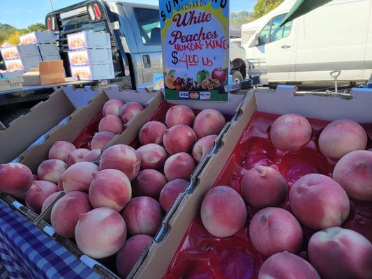 Sunday Marin Farmers' Market by null