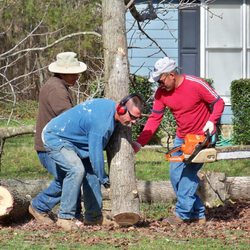 Bobby Anderson Jr Tree Service