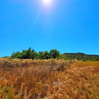 Laguna Coast Wilderness Park - 7-5-20: Not the MOST exciting trail but not too shabby - Parks Near Me - Laguna Beach, California Laguna Coast Wilderness Park - 7-5-20: Not the MOST exciting trail but not too shabby - Parks Near Me - Laguna Beach, California