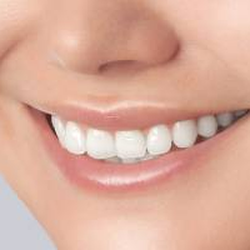 John P Christian, DDS