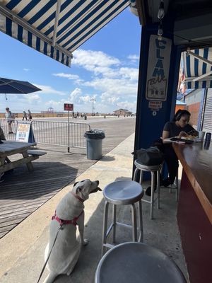 Paul's Daughter by null