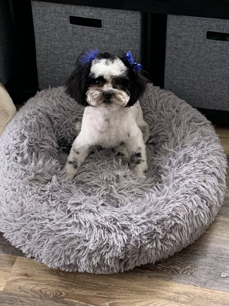 BARKING SPA Updated October 2024 22 Photos & 60 Reviews 126 Old