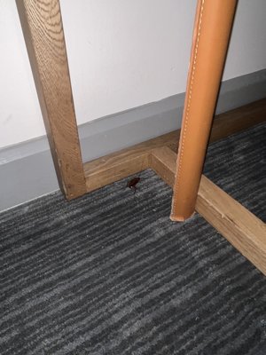 South Beach Hotel by null