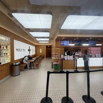 Molly Tea - Bubble Tea Near Me - Bellevue, Washington