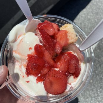 Andy's Frozen Custard - Large strawberry shortcake! Excellent!! - Ice Cream & Frozen Yogurt Near Me - Sanford, Florida