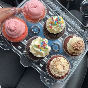 Zambawango - 6 pack of Assorted Cupcakes - Coffee & Tea Near Me - Sandy Springs, Georgia Zambawango - 6 pack of Assorted Cupcakes - Coffee & Tea Near Me - Sandy Springs, Georgia