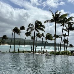 Turtle Bay Lobby Lounge