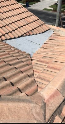 Blue Dog Roofing & Construction