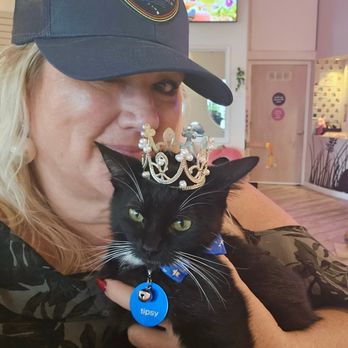 Cat Cafe Maui - Pet Adoption Near Me - Kahului, Hawaii