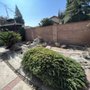 Photo of Mendez Lawn Care