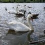 Photo of Hainault Forest Country Park