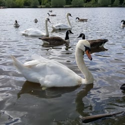 Hainault Forest Country Park