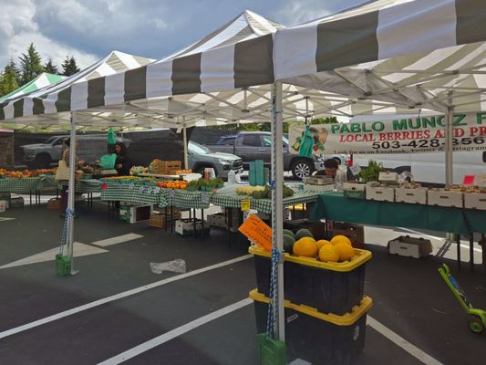 Sellwood Moreland Farmers Market by null