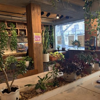 Semicolon Cafe - cute interior - Coffee & Tea Near Me - New York, New York Semicolon Cafe - cute interior - Coffee & Tea Near Me - New York, New York