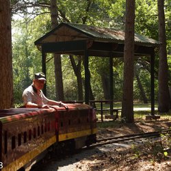 Chippewa Valley Railroad - CVRR - Safety First! The engineer watches backward for problems, too.