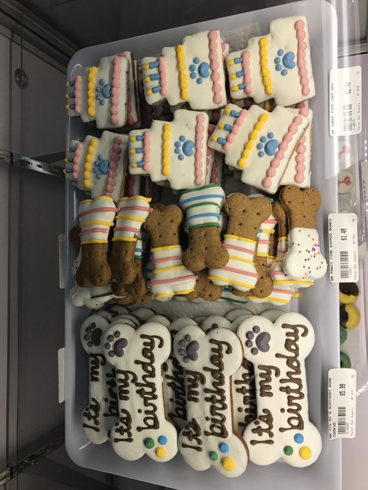 FETCH PET SUPPLY Updated May 2024 22 Photos 25 Colborne Street