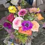 Freesia and Vine