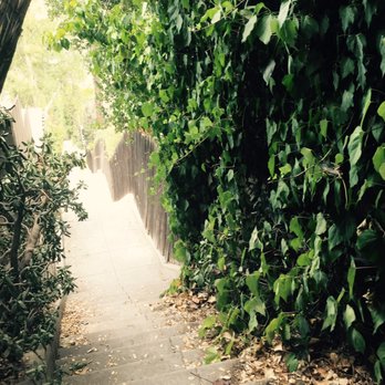 Secret Stairs - Taken at noon - Hiking Near Me - Pasadena, California