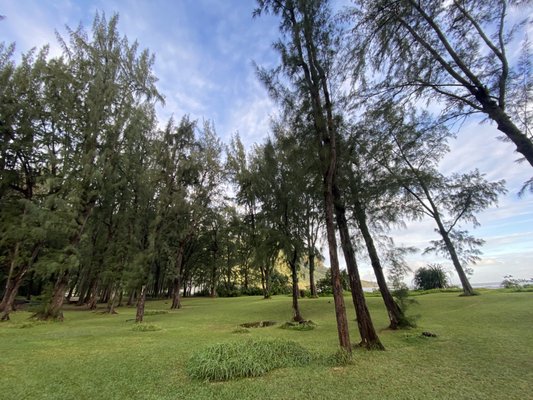 Kahana Bay Beach Park by null