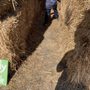 Photo of Manza Family Farm