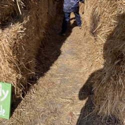 Manza Family Farm