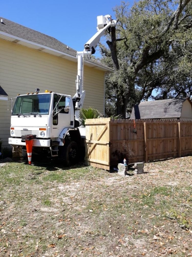 G&M Tree Service - tree service in Saucier, MS