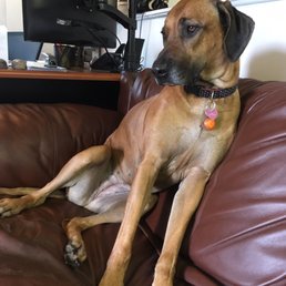 Winnie
