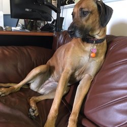 Winnie
