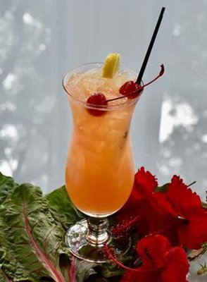 Rip Van Winkle Gardens by null