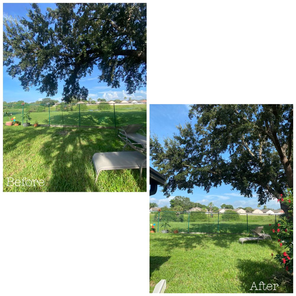 Straight To The Point Outdoor Solutions - tree service in Tampa, FL