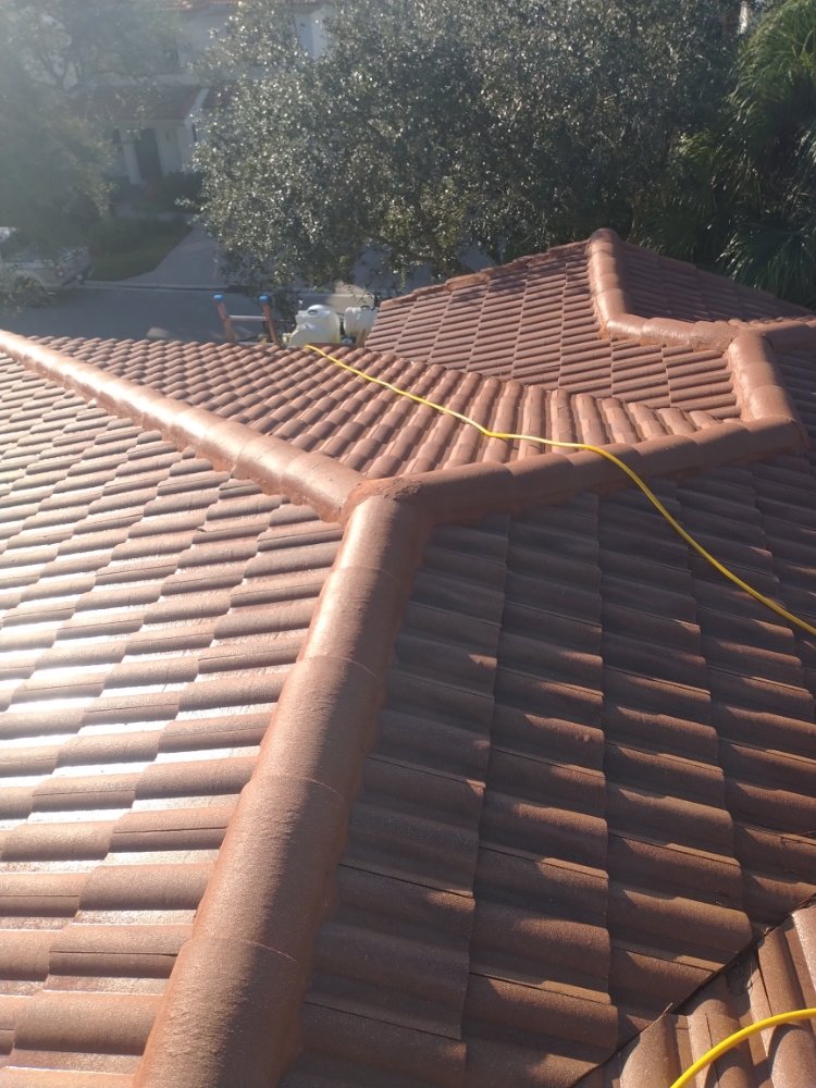 Slide of Elite Roof Cleaning