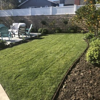 Adrian's Tree Service - Back yard: right side - Landscaping Near Me