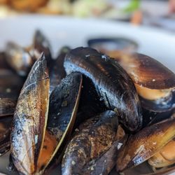 Turtle Bay Pub - White wine mussels