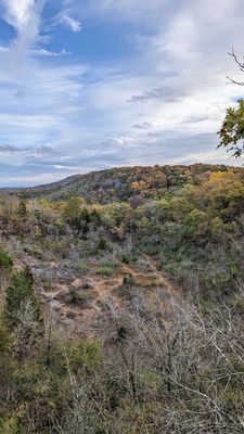 Ruffner Mountain by null