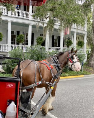 Sea Island Carriage Company by null