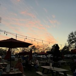 Hans' Crawfish Services - Backyard