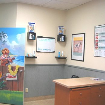 Ahwatukee Commons Veterinary Hospital - Large comfortable exam rooms, this one with a Hawaii theme - Veterinarians Near Me - Phoenix, Arizona