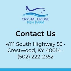 Crystal Bridge Fish - Contact info for Crystal bridge fish