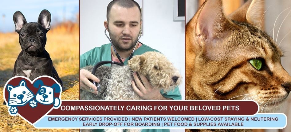 Bartow Animal Care Hospital Image