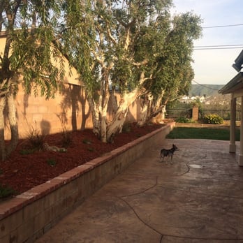 California Certified - Damage Restoration Near Me - Sylmar, California