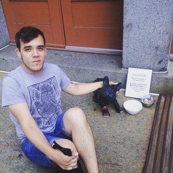 Pupster & Co - Dog Walkers Near Me - New York, New York Pupster & Co - Dog Walkers Near Me - New York, New York