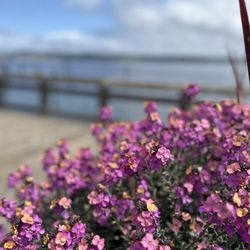 Northern Fish Products - The view