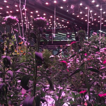 Farm.One - Farms Near Me - Brooklyn, New York
