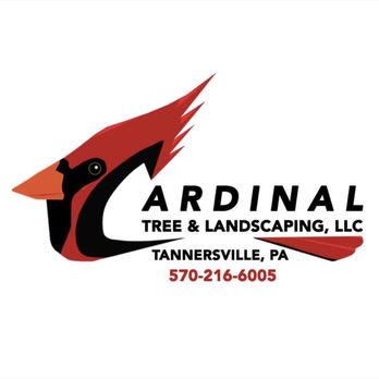 Cardinal Tree & Landscaping - cardinal tree & landscaping - Landscaping Near Me Cardinal Tree & Landscaping - cardinal tree & landscaping - Landscaping Near Me