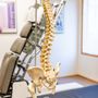Photo of Duane W Harrington, DC - Yakima Valley Chiropractic
