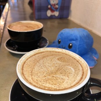 The West - pumpkin spice latte and this cutie - Coffee & Tea Near Me - Brooklyn, New York