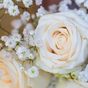 Floral Creations By Blanca - Florists Near Me - Pompano Beach, Florida Floral Creations By Blanca - Florists Near Me - Pompano Beach, Florida