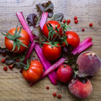 Growing Beyond Organic - Colors of the rainbow! - Nurseries & Gardening Near Me Growing Beyond Organic - Colors of the rainbow! - Nurseries & Gardening Near Me