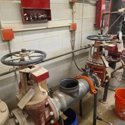 Drain Works - 6 inch backflow repair