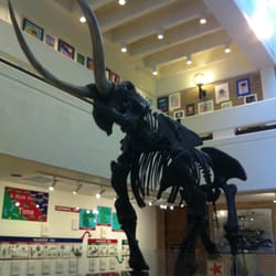 Arkansas State University Museum - Yeah its a replica like many things in the collection, but still pretty cool